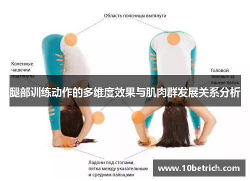 腿部训练动作的多维度效果与肌肉群发展关系分析